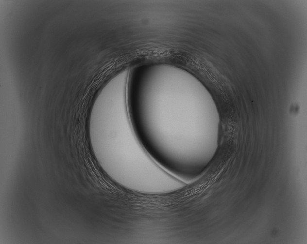 X0000097801153200803140730