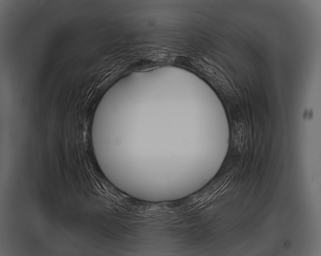 X0000097801154200803140730