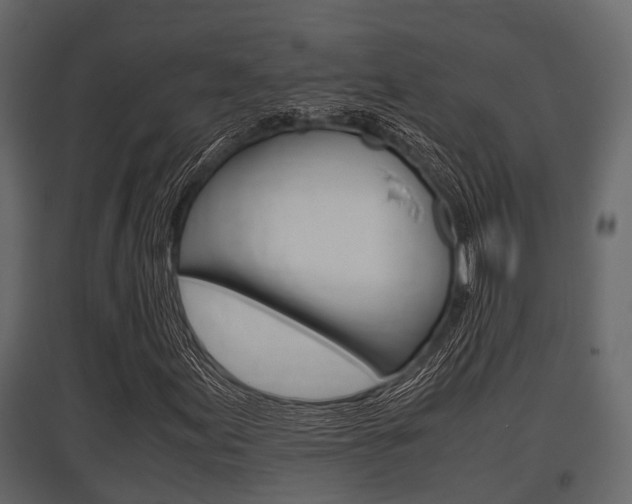 X0000097801155200803140730