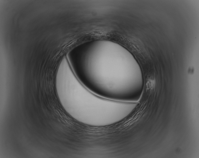 X0000097801156200803140730