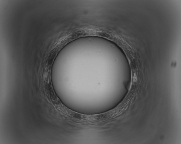 X0000097801157200803140730