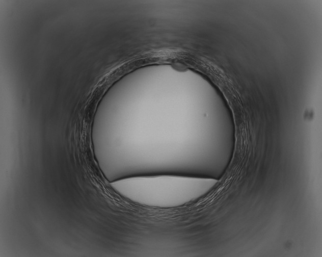 X0000097801158200803140729