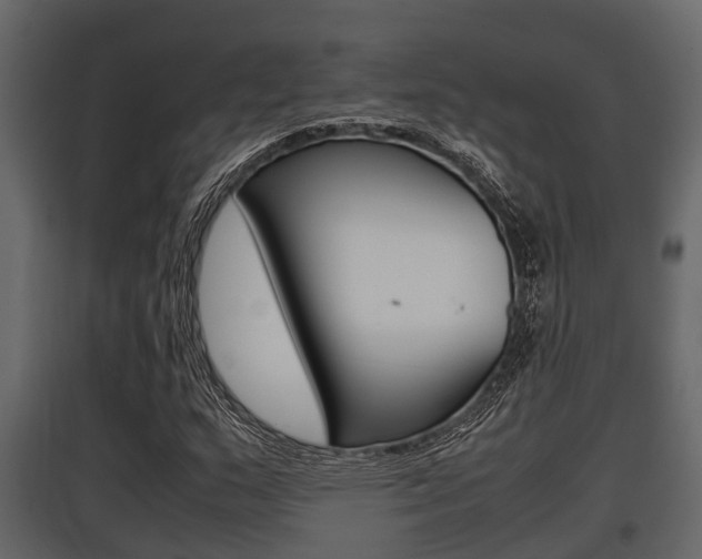 X0000097801159200803140729