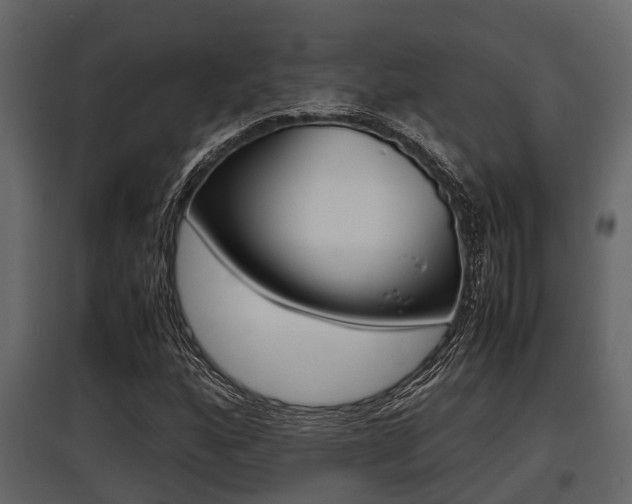 X0000097801160200803140729