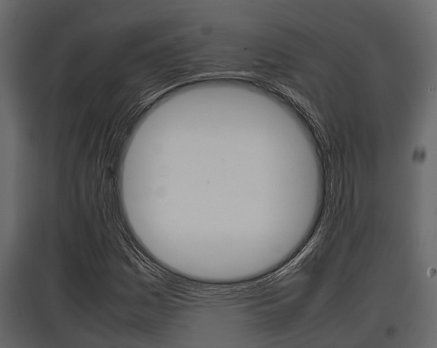 X0000097801161200803140729
