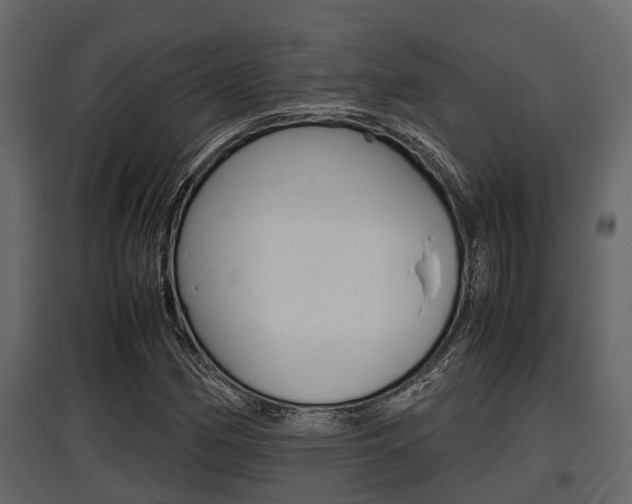 X0000097801162200803140729