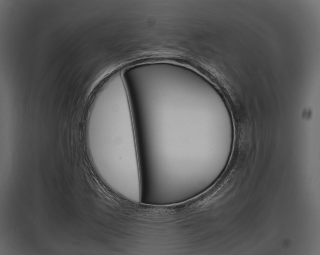 X0000097801163200803140729
