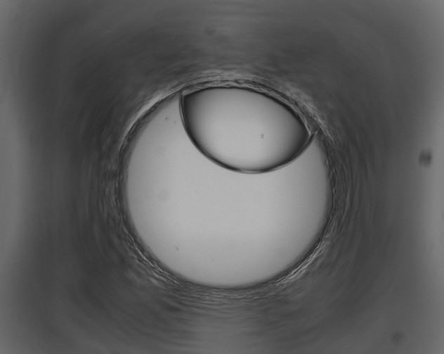 X0000097801165200803140729