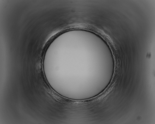 X0000097801166200803140729