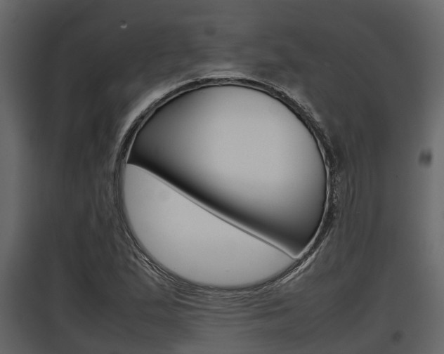 X0000097801167200803140729