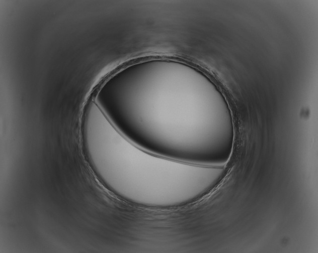 X0000097801168200803140729