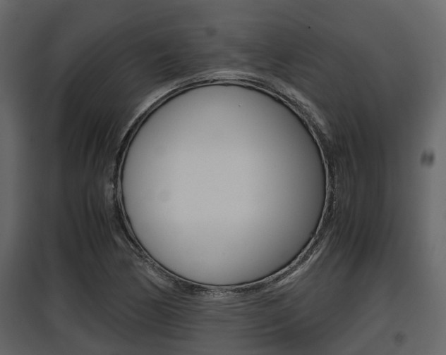 X0000097801170200803140729