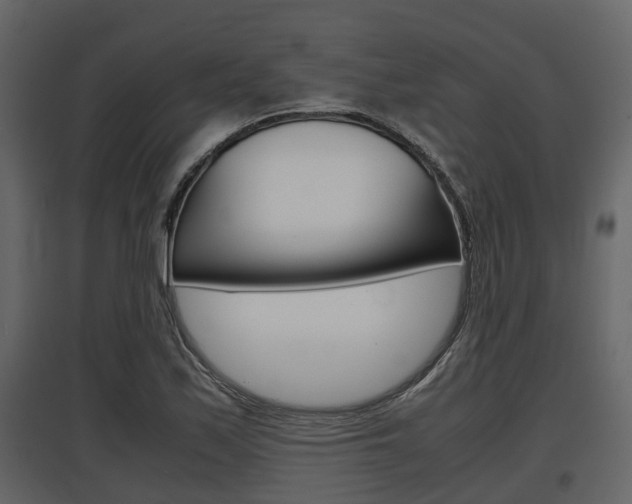 X0000097801171200803140729