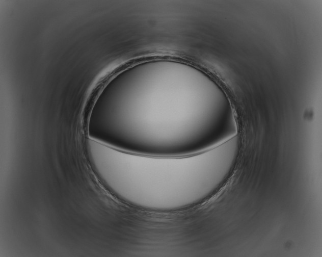 X0000097801172200803140729