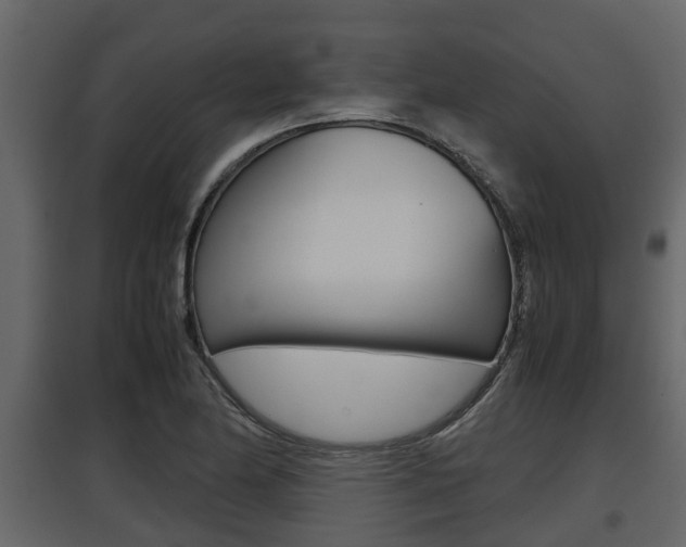 X0000097801174200803140729