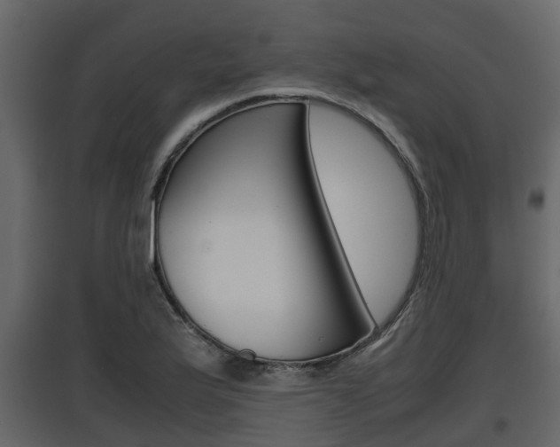 X0000097801175200803140729