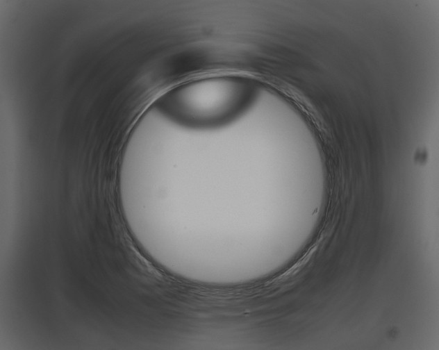 X0000097801177200803140729