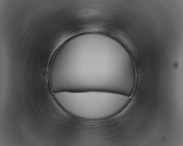 X0000097801178200803140729