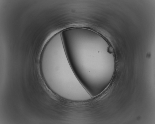 X0000097801179200803140729
