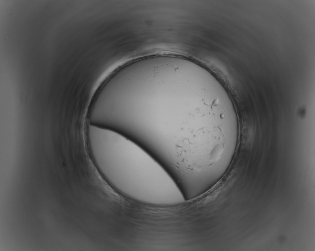 X0000097801182200803140729