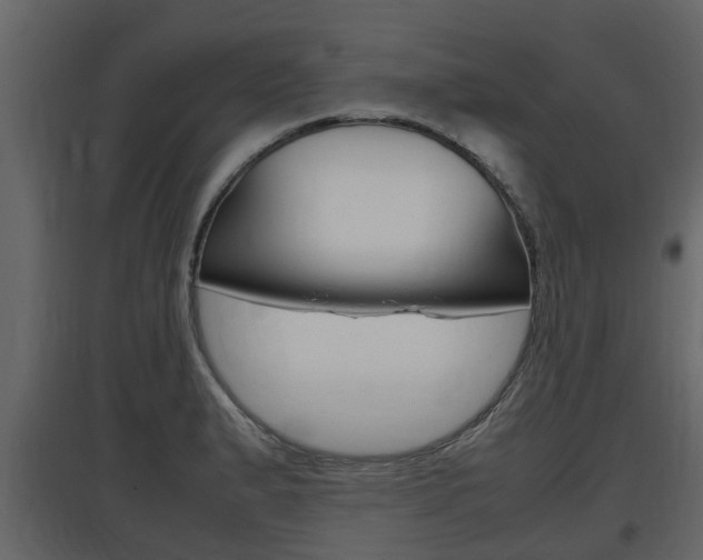 X0000097801183200803140729