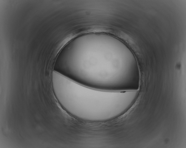 X0000097801185200803140729