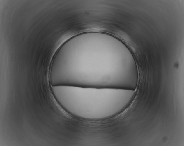 X0000097801186200803140729