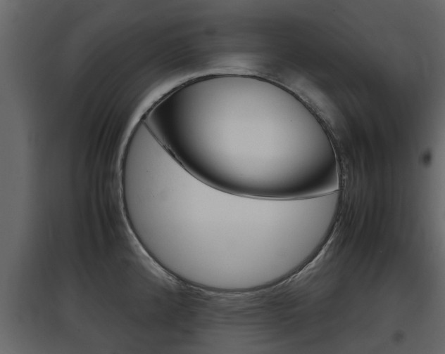 X0000097801192200803140729