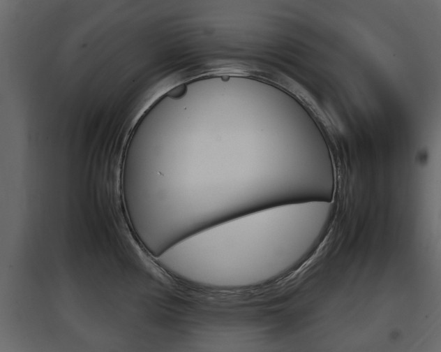 X0000097801194200803140729
