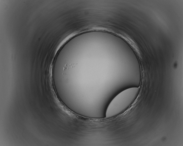 X0000097801198200803140729