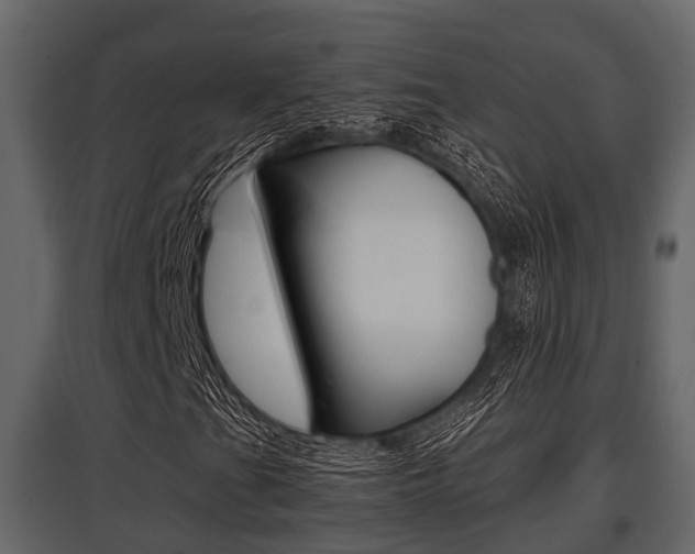 X0000097801201200803140728