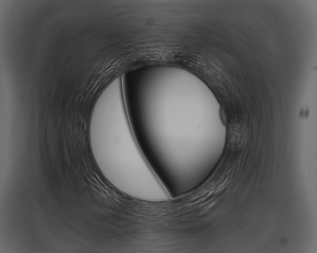 X0000097801202200803140728