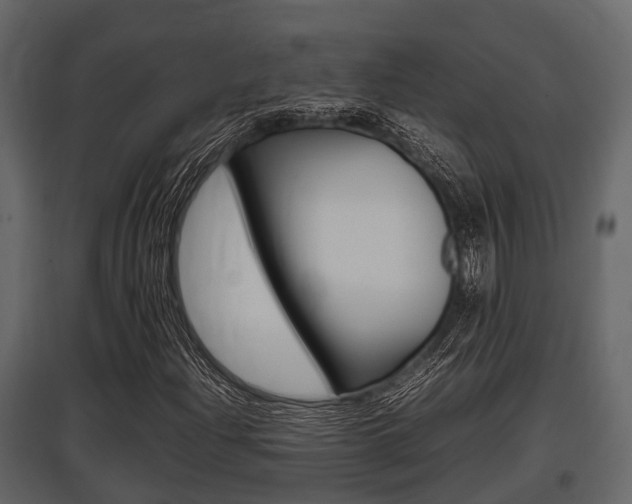 X0000097801204200803140728