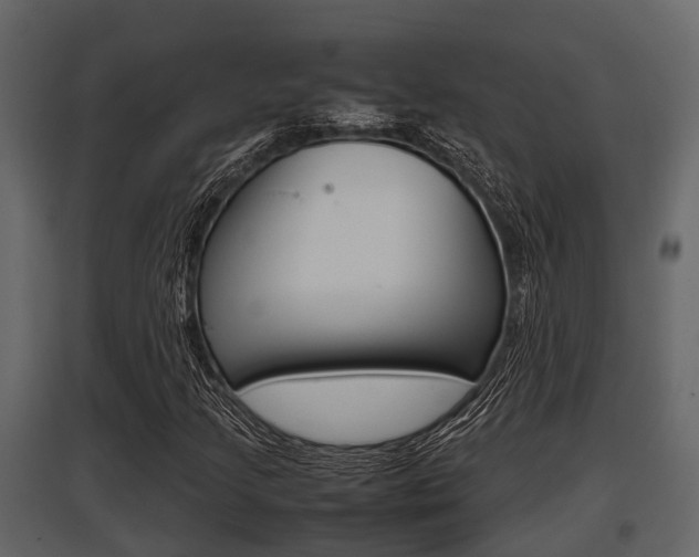 X0000097801205200803140728
