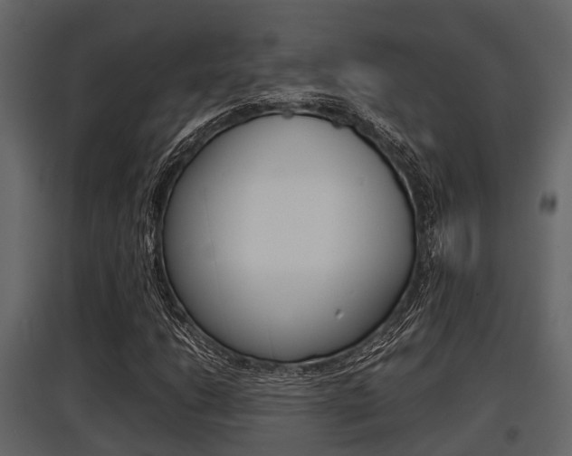 X0000097801206200803140728