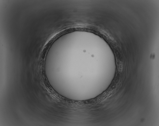 X0000097801208200803140728