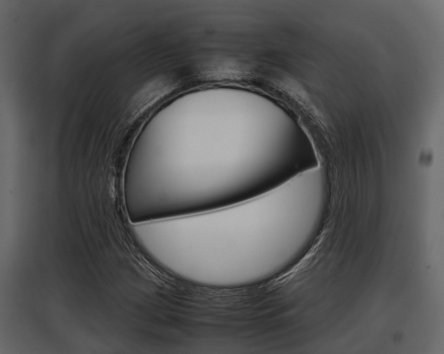 X0000097801209200803140728