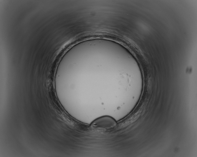 X0000097801210200803140728