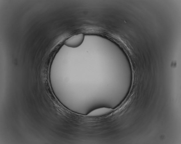 X0000097801211200803140728