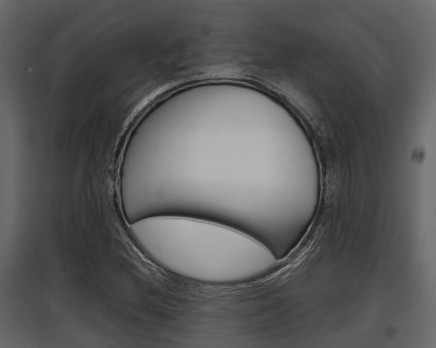 X0000097801212200803140728