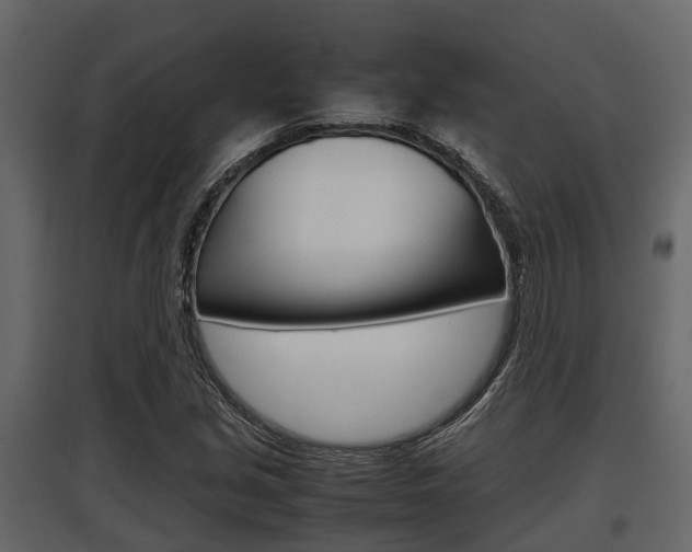 X0000097801213200803140728