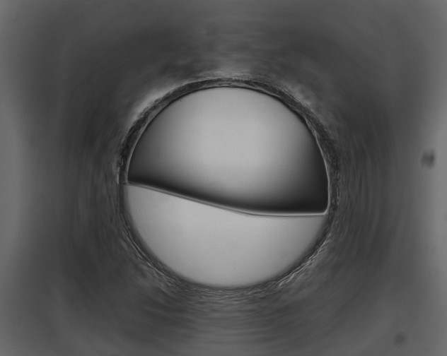 X0000097801214200803140728