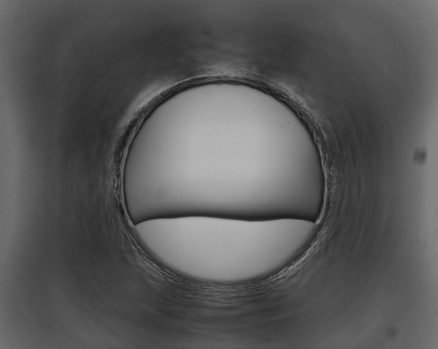X0000097801215200803140728