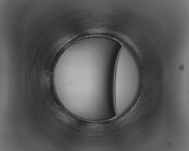 X0000097801217200803140728