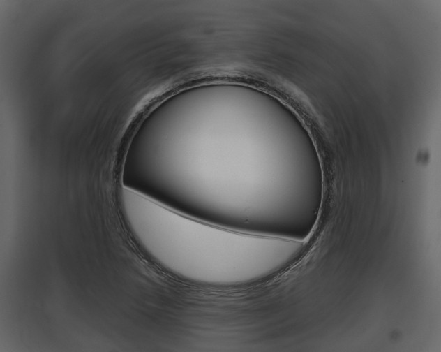 X0000097801218200803140728