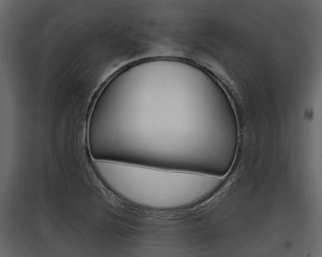 X0000097801220200803140729