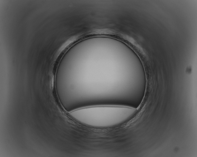 X0000097801221200803140729