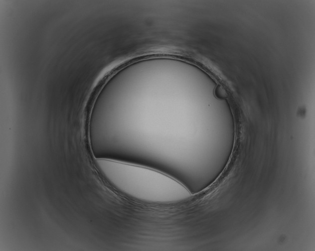 X0000097801222200803140729