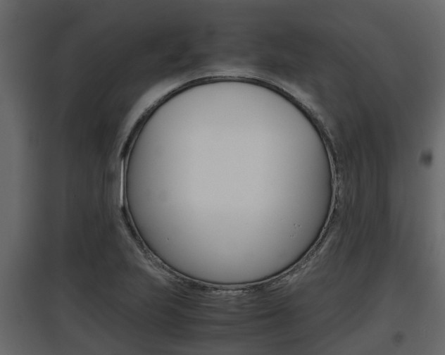 X0000097801223200803140729