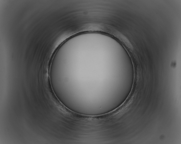 X0000097801226200803140729
